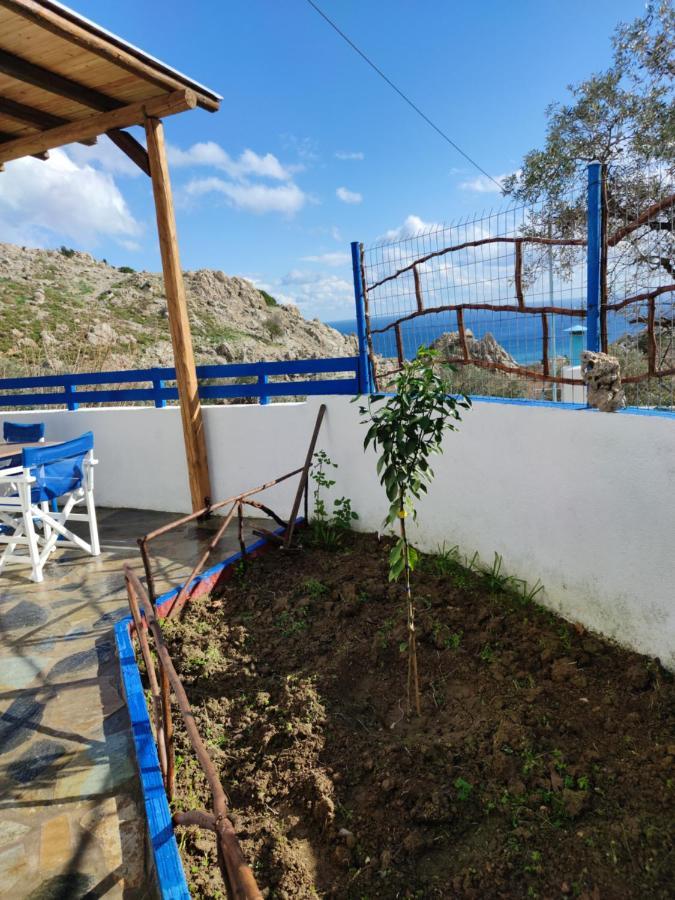 Ioli'S Apartments Archangelos  Dış mekan fotoğraf