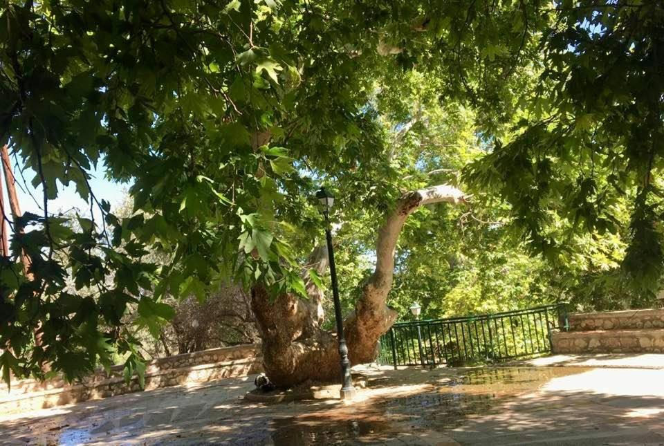 Ioli'S Apartments Archangelos  Dış mekan fotoğraf