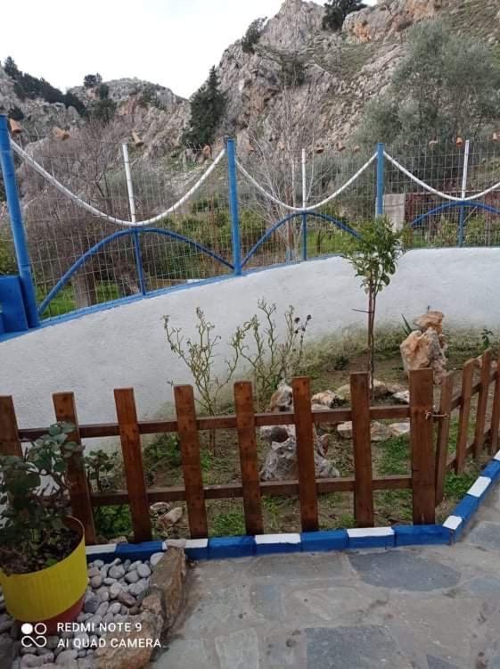 Ioli'S Apartments Archangelos  Dış mekan fotoğraf
